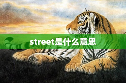 street是什么意思
