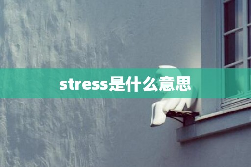 stress是什么意思
