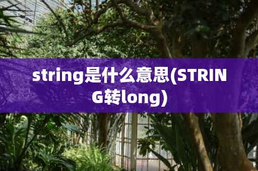 string是什么意思(STRING转long)