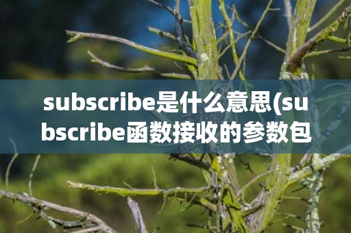 subscribe是什么意思(subscribe函数接收的参数包括)