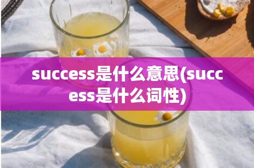 success是什么意思(success是什么词性)