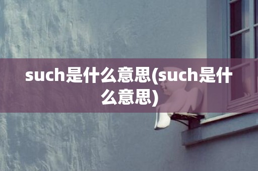 such是什么意思(such是什么意思)