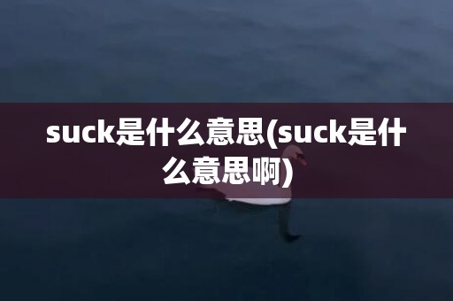 suck是什么意思(suck是什么意思啊)