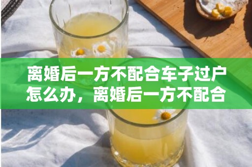 离婚后一方不配合车子过户怎么办，离婚后一方不配合过户以什么案由起诉？？离婚后申请强制执行过户