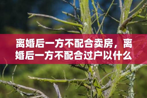 离婚后一方不配合卖房，离婚后一方不配合过户以什么案由起诉？？离婚一方不配合房子过户怎么办