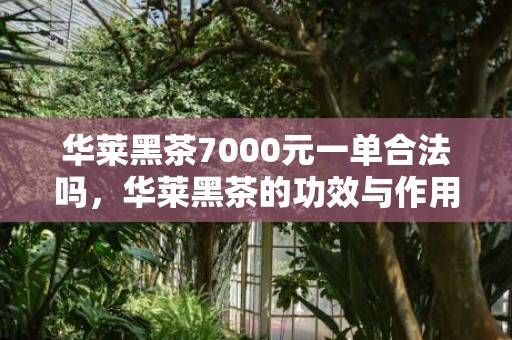 华莱黑茶7000元一单合法吗，华莱黑茶的功效与作用