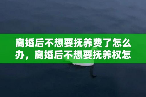 离婚后不想要抚养费了怎么办，离婚后不想要抚养权怎么办手续，离婚时放弃抚养权,以后还能再要吗