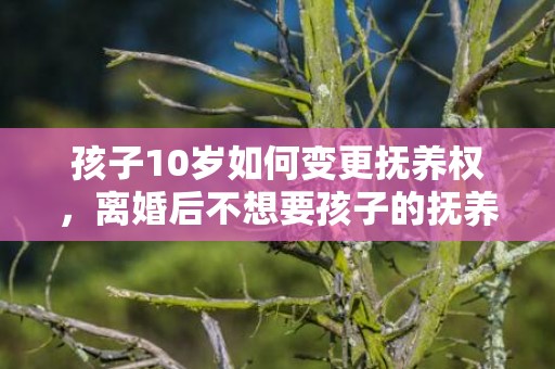 孩子10岁如何变更抚养权，离婚后不想要孩子的抚养权怎么处理？离婚时孩子的抚养权怎么判