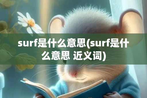 surf是什么意思(surf是什么意思 近义词)