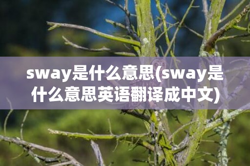 sway是什么意思(sway是什么意思英语翻译成中文)