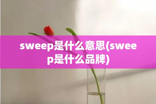 sweep是什么意思(sweep是什么品牌)