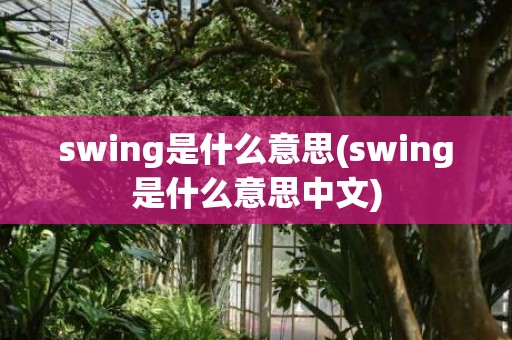 swing是什么意思(swing是什么意思中文)