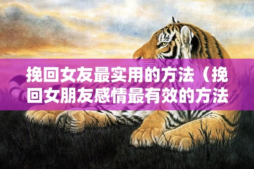 挽回女友最实用的方法（挽回女朋友感情最有效的方法）