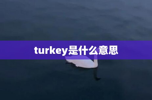 turkey是什么意思