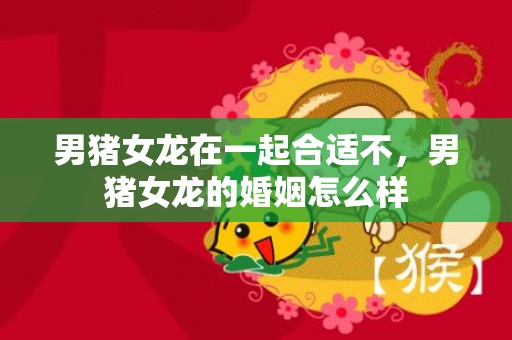 男猪女龙在一起合适不，男猪女龙的婚姻怎么样