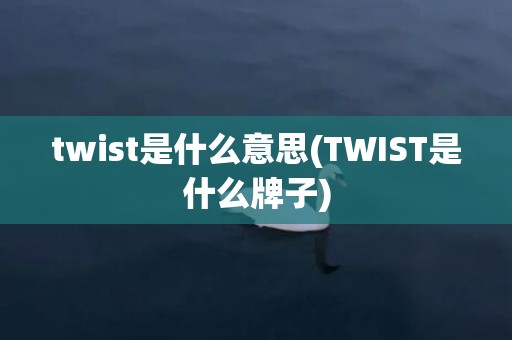 twist是什么意思(TWIST是什么牌子)