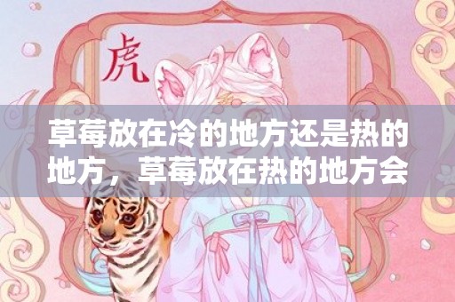 草莓放在冷的地方还是热的地方，草莓放在热的地方会坏吗