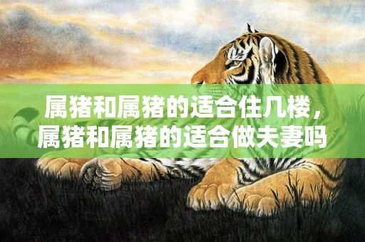 属猪和属猪的适合住几楼，属猪和属猪的适合做夫妻吗