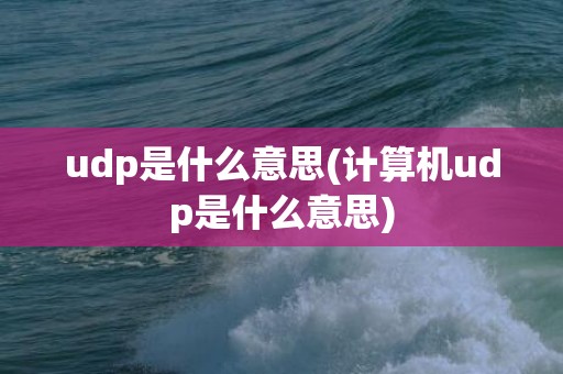 udp是什么意思(计算机udp是什么意思)