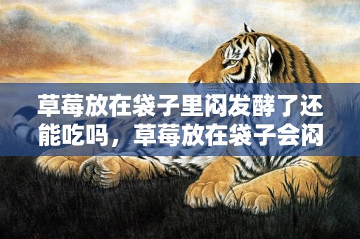 草莓放在袋子里闷发酵了还能吃吗，草莓放在袋子会闷坏吗