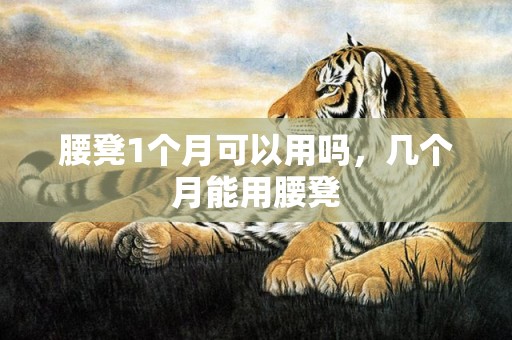 腰凳1个月可以用吗，几个月能用腰凳