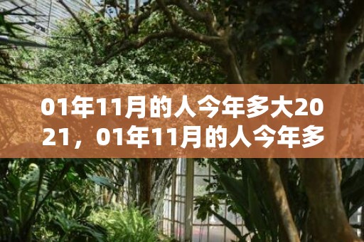 01年11月的人今年多大2021，01年11月的人今年多大
