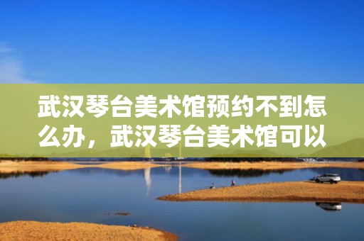 武汉琴台美术馆预约不到怎么办，武汉琴台美术馆可以直接进吗