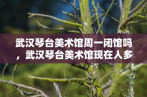 武汉琴台美术馆周一闭馆吗，武汉琴台美术馆现在人多不多