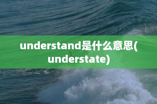 understand是什么意思(understate)
