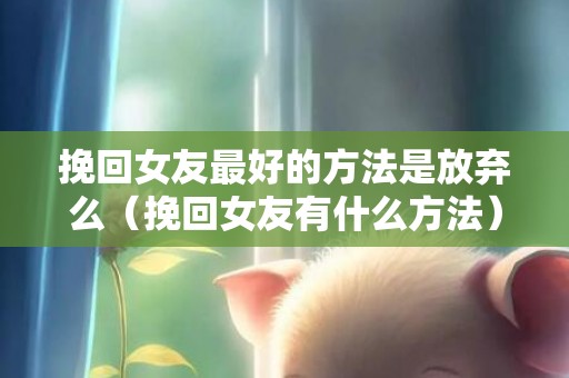 挽回女友最好的方法是放弃么（挽回女友有什么方法）