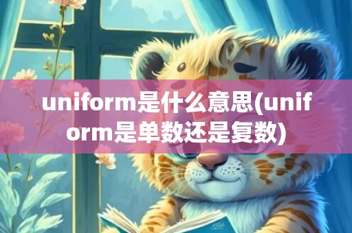 uniform是什么意思(uniform是单数还是复数)