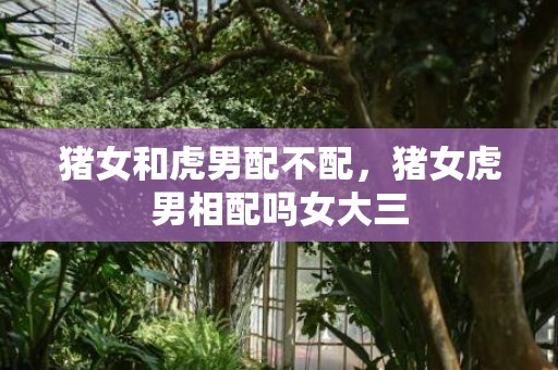 猪女和虎男配不配，猪女虎男相配吗女大三