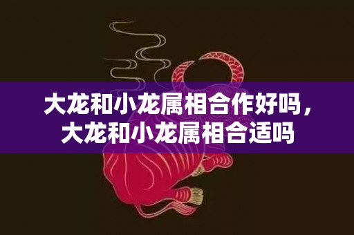 大龙和小龙属相合作好吗，大龙和小龙属相合适吗