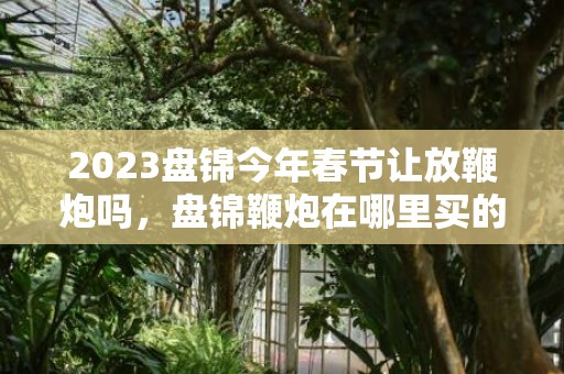2023盘锦今年春节让放鞭炮吗，盘锦鞭炮在哪里买的到