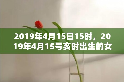 2019年4月15日15时，2019年4月15号亥时出生的女孩应该起什么样的名字