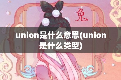 union是什么意思(union是什么类型)