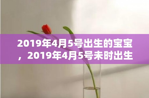 2019年4月5号出生的宝宝，2019年4月5号未时出生的女孩如何起名