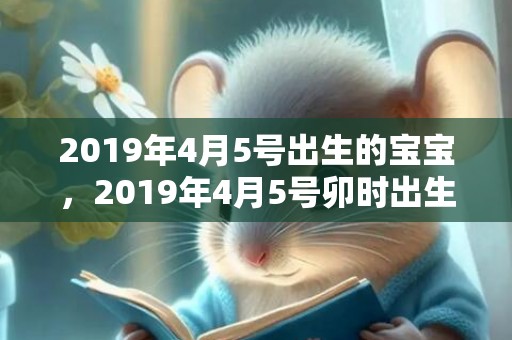 2019年4月5号出生的宝宝，2019年4月5号卯时出生的女孩如何起名