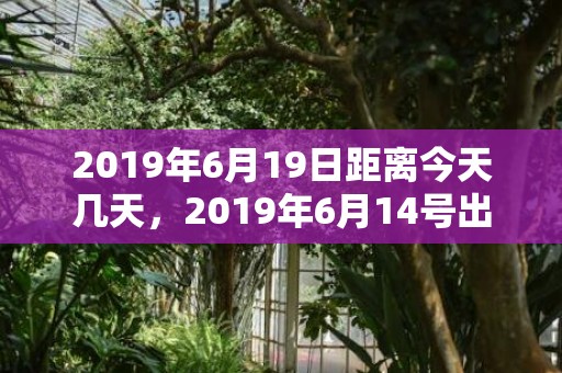 2019年6月19日距离今天几天，2019年6月14号出生的双胞胎女孩如何起名好，五行属什么？
