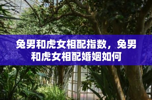 兔男和虎女相配指数，兔男和虎女相配婚姻如何