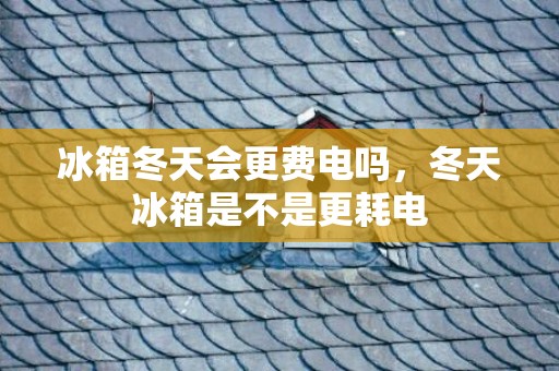 冰箱冬天会更费电吗，冬天冰箱是不是更耗电