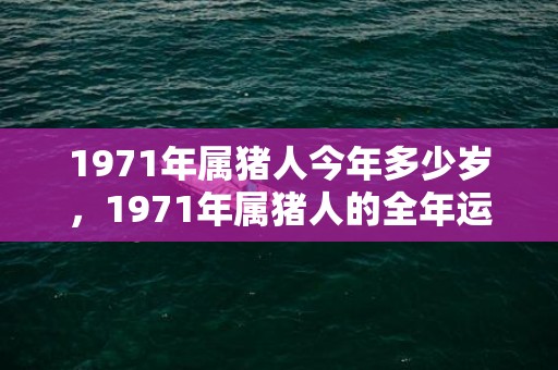 1971年属猪人今年多少岁，1971年属猪人的全年运势