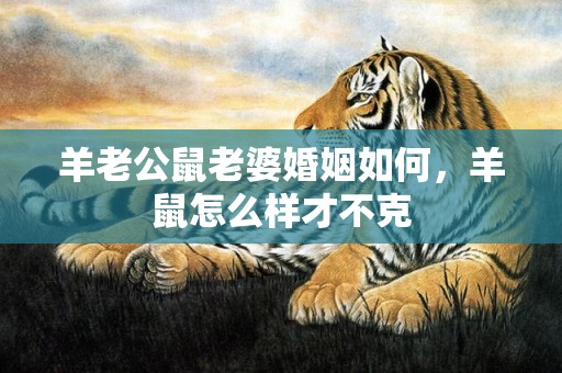 羊老公鼠老婆婚姻如何，羊鼠怎么样才不克