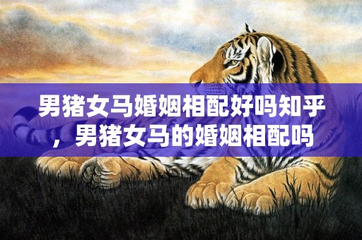 男猪女马婚姻相配好吗知乎，男猪女马的婚姻相配吗