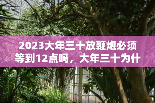 2023大年三十放鞭炮必须等到12点吗，大年三十为什么是十二点后放鞭炮