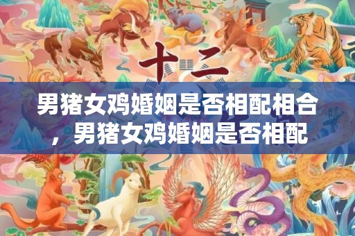 男猪女鸡婚姻是否相配相合，男猪女鸡婚姻是否相配