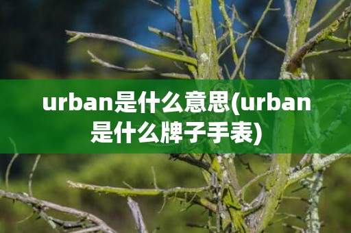 urban是什么意思(urban是什么牌子手表)