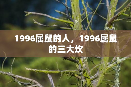 1996属鼠的人，1996属鼠的三大坎