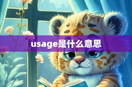 usage是什么意思