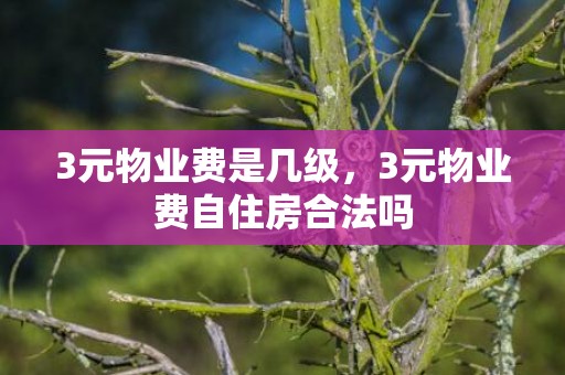 3元物业费是几级，3元物业费自住房合法吗